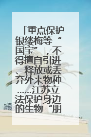 重点保护银缕梅等“国宝”，不得擅自引进、释放或丢弃外来物种……江苏立法保护身边的生物“朋友圈”
