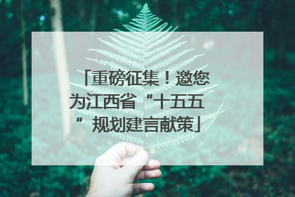 重磅征集！邀您为江西省“十五五”规划建言献策