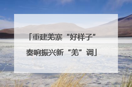 重建羌寨“好样子” 奏响振兴新“羌”调