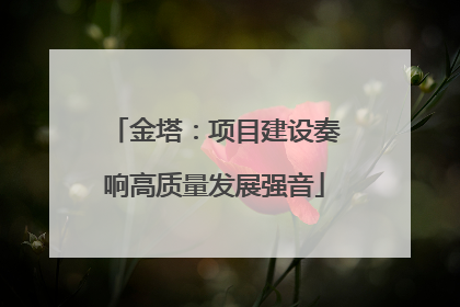 金塔：项目建设奏响高质量发展强音