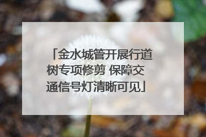 金水城管开展行道树专项修剪 保障交通信号灯清晰可见