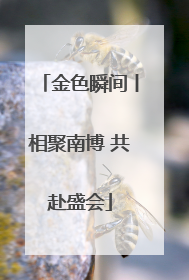 金色瞬间丨相聚南博 共赴盛会