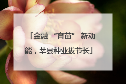 金融 “育苗” 新动能，莘县种业拔节长