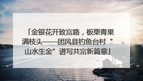 金银花开致富路，板栗青果满枝头——团风县钓鱼台村“山水生金”谱写共富新篇章