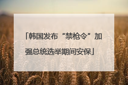 韩国发布“禁枪令”加强总统选举期间安保