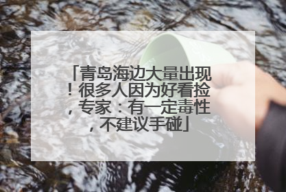 青岛海边大量出现！很多人因为好看捡，专家：有一定毒性，不建议手碰