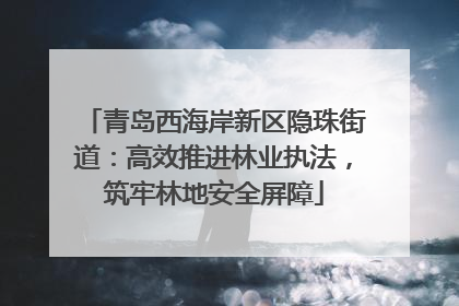 青岛西海岸新区隐珠街道：高效推进林业执法，筑牢林地安全屏障
