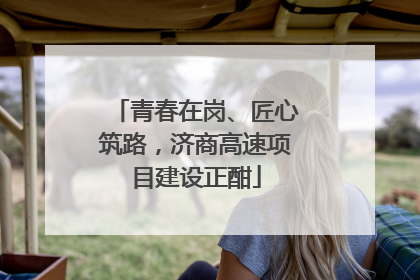青春在岗、匠心筑路，济商高速项目建设正酣