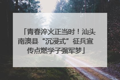 青春淬火正当时！汕头南澳县“沉浸式”征兵宣传点燃学子强军梦