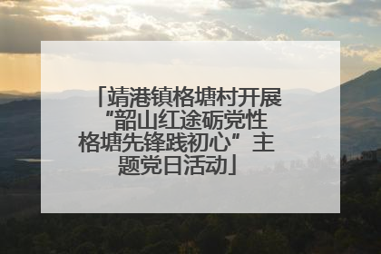 靖港镇格塘村开展“韶山红途砺党性 格塘先锋践初心”主题党日活动