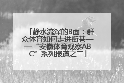 静水流深的B面：群众体育如何走进街巷——“安徽体育观察ABC”系列报道之二