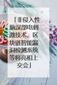 非侵入性脑深部电刺激技术、区块链智能漏洞检测系统等将亮相上交会