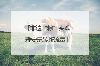 非遗“粽”头戏 雅安玩转新流量
