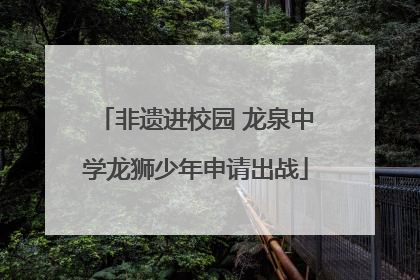 非遗进校园 龙泉中学龙狮少年申请出战