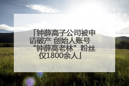 钟薛高子公司被申请破产 创始人账号“钟薛高老林”粉丝仅1800余人