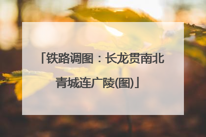 铁路调图：长龙贯南北 青城连广陵(图)