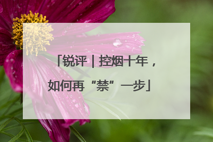 锐评｜控烟十年，如何再“禁”一步