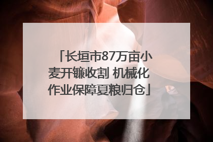 长垣市87万亩小麦开镰收割 机械化作业保障夏粮归仓