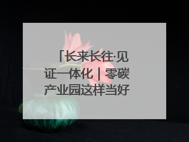 长来长往·见证一体化｜零碳产业园这样当好“碳”路先锋