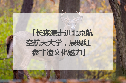 长森源走进北京航空航天大学，展现红参非遗文化魅力