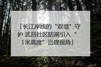 长江岸线的“双堤”守护 武昌社区防溺引入“1米高度”治理视角
