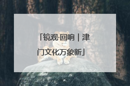 镜观·回响｜津门文化万象新