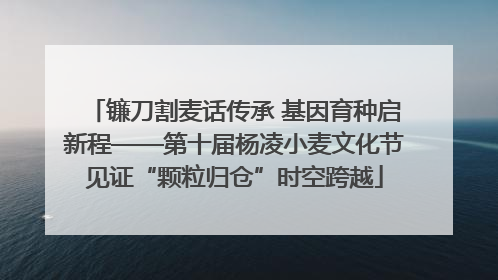 镰刀割麦话传承 基因育种启新程——第十届杨凌小麦文化节见证“颗粒归仓”时空跨越