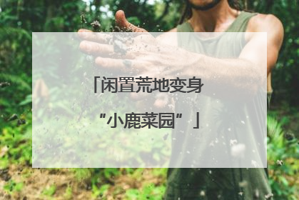 闲置荒地变身“小鹿菜园”