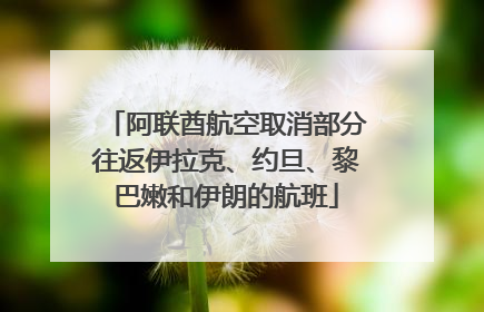 阿联酋航空取消部分往返伊拉克、约旦、黎巴嫩和伊朗的航班