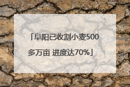 阜阳已收割小麦500多万亩 进度达70%