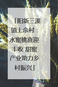 阳新三溪镇上余村：水蜜桃喜迎丰收 甜蜜产业助力乡村振兴