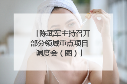 陈武军主持召开部分领域重点项目调度会（图）