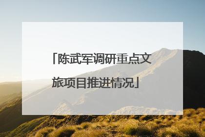 陈武军调研重点文旅项目推进情况
