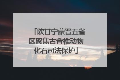 陕甘宁蒙晋五省区聚焦古脊椎动物化石司法保护