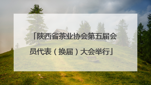 陕西省茶业协会第五届会员代表（换届）大会举行