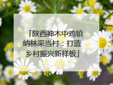 陕西神木中鸡镇纳林采当村：打造乡村振兴新样板
