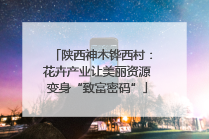 陕西神木铧西村：花卉产业让美丽资源变身“致富密码”