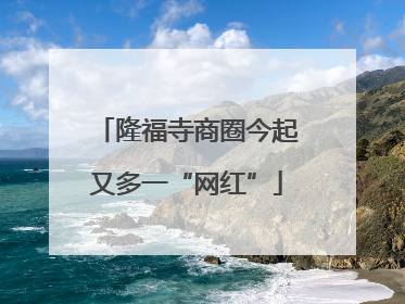 隆福寺商圈今起又多一“网红”