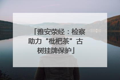 雅安荥经：检察助力“枇杷茶”古树挂牌保护