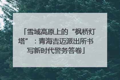 雪域高原上的“枫桥灯塔”：青海吉迈派出所书写新时代警务答卷