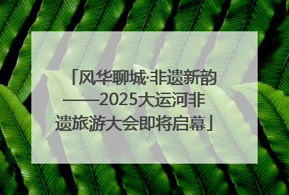 风华聊城·非遗新韵——2025大运河非遗旅游大会即将启幕