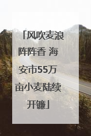 风吹麦浪阵阵香 海安市55万亩小麦陆续开镰