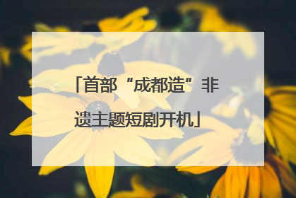 首部“成都造”非遗主题短剧开机
