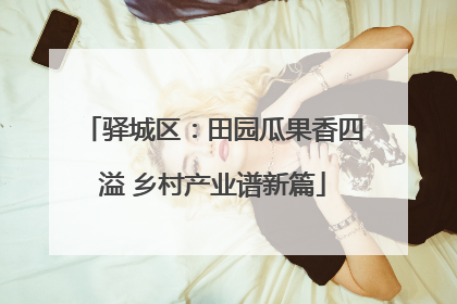 驿城区：田园瓜果香四溢 乡村产业谱新篇