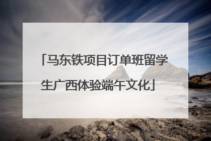 马东铁项目订单班留学生广西体验端午文化