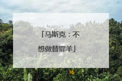 马斯克：不想做替罪羊