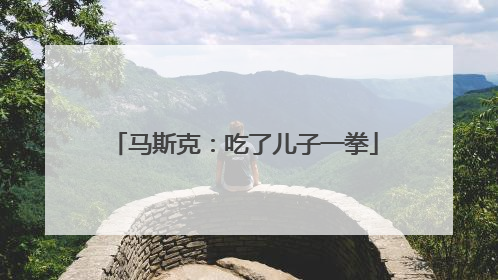 马斯克：吃了儿子一拳