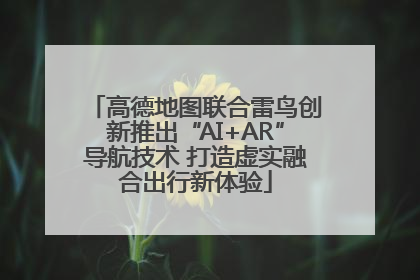 高德地图联合雷鸟创新推出“AI+AR”导航技术 打造虚实融合出行新体验