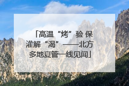 高温“烤”验 保灌解“渴”——北方多地夏管一线见闻