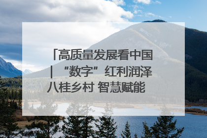 高质量发展看中国｜“数字”红利润泽八桂乡村 智慧赋能绘就振兴画卷